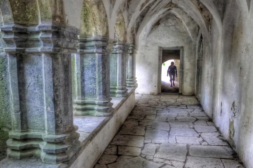 Killarney National Park is also home to an old abbey. This abbey had a beautiful inner cloister.