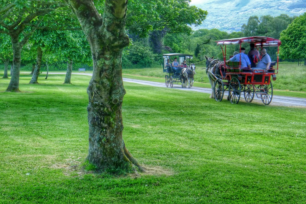 If you want an old fashioned carriage ride, killarney is the place to go.
