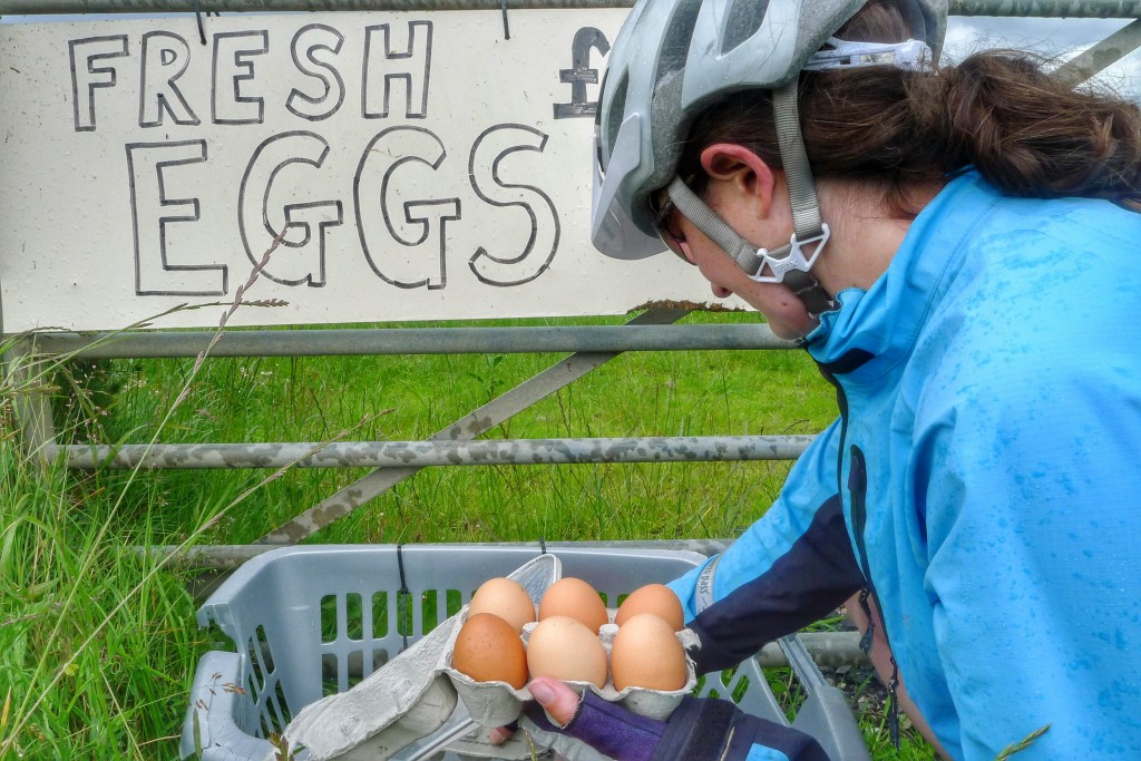 Fresh eggs from an honesty box on the side of a road.
