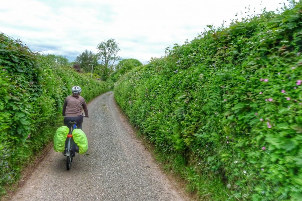 The farm roads in Wales are wide enough for one car. The tall hedgerows hide sight lines, so descending is a bit dicey.